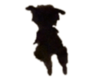 730648672