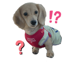 730730382
