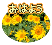 730732065