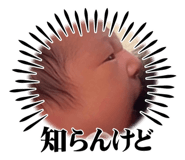730742028