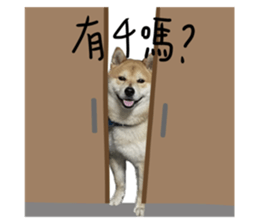 730791538