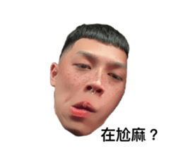 730795427