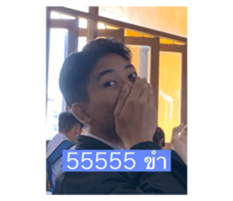 730823604