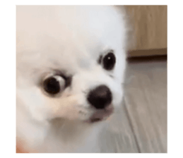 730831938