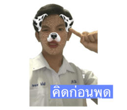 730853316