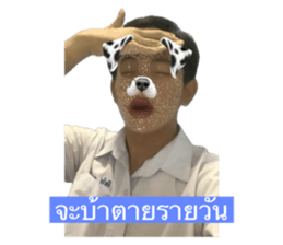 730853317