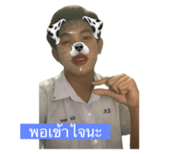 730853323