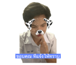 730853326