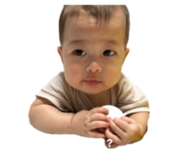 730886655