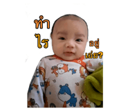 730889551