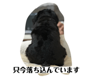 730910972