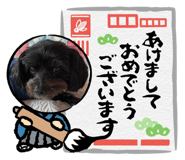 730910988