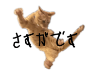 730986566