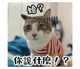 731027658