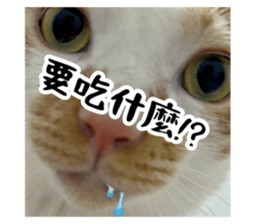 731027664