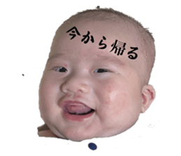 731053806