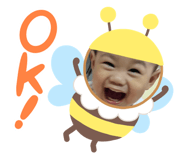 731055953