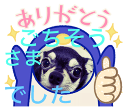 731067552