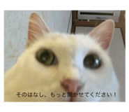 731074528