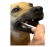 731078592