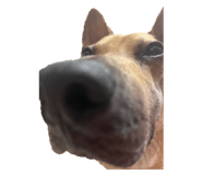 731078598