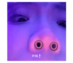 731081405