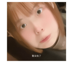 731081407