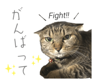 731082816