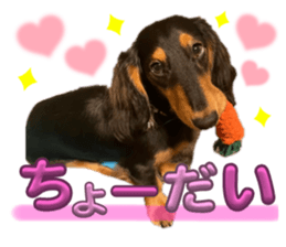 731091196