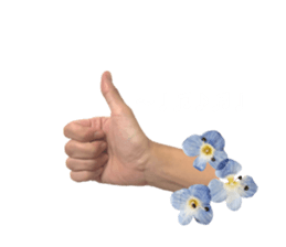 731093787
