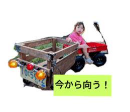 731113481