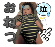 731129677