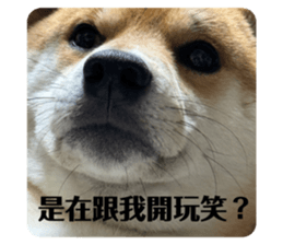 731167507
