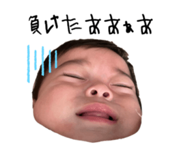 731232675