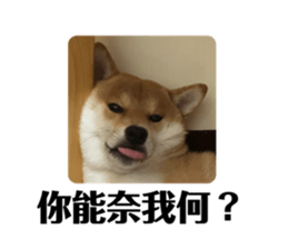 731236373