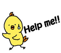 7312626