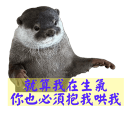 731283876