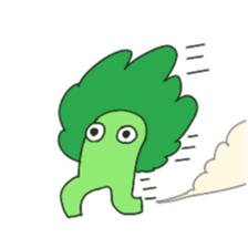 7312937