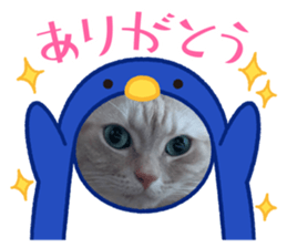 731342910