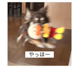 731358801