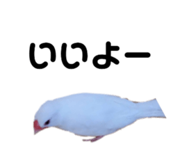 731363997