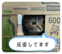 731389910