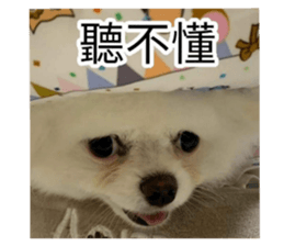 731404801