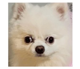 731404823
