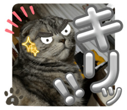 731421176