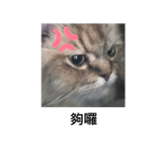 731474270