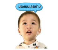 731477779