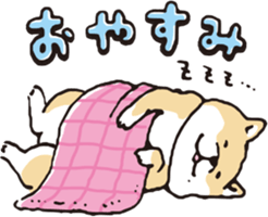 731499362