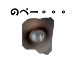 731560320