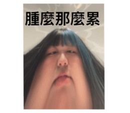 731615549